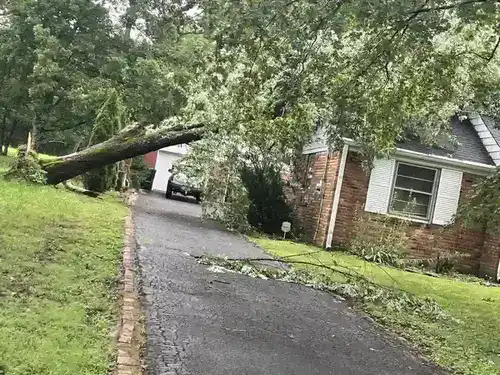 Emergency storm-damage tree removal from a roof in Phoenix, AZ